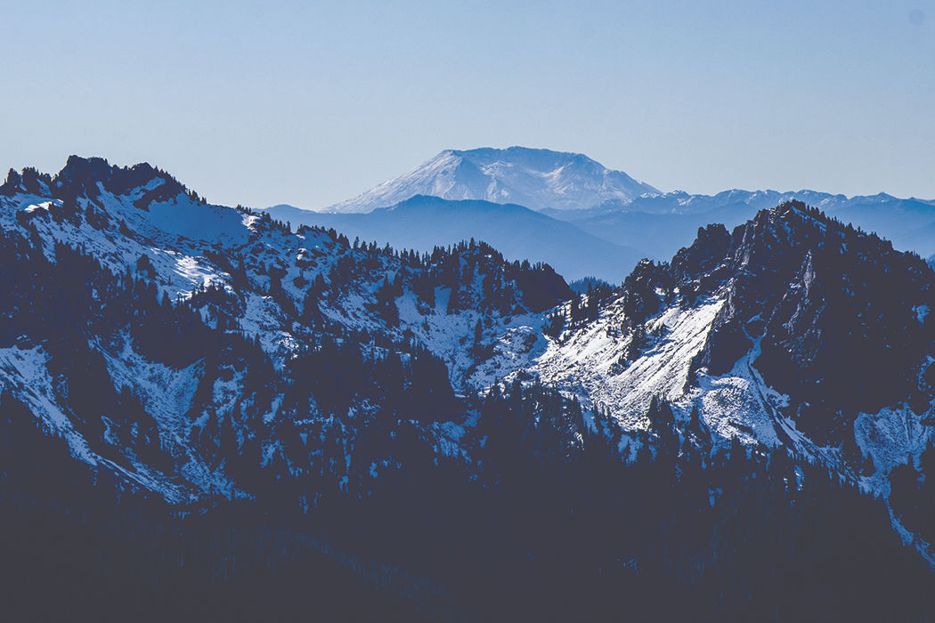 Photos: From Paradise in Mount Rainier National Park